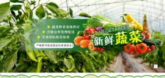 北京华*金丰商(shāng)贸有(yǒu)限公司制作网站营销型案例作品